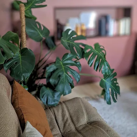 La Planque En Perche Maison d'hôtes Bellou-le-Trichard