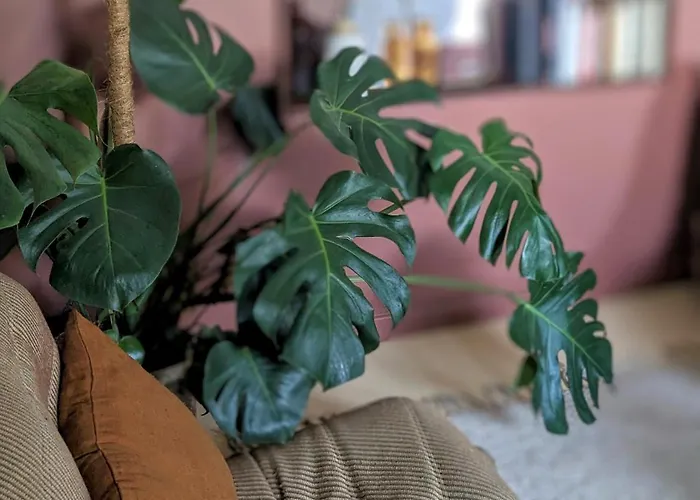 La Planque En Perche Maison d'hôtes Bellou-le-Trichard